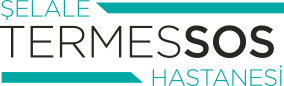 Şelale Termessos Hastanesi