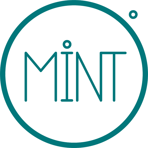 Mint Finansal Kiralama A.Ş.